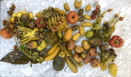 Nature morte vivante n°4, 2023. Fruits et légumes du marché d'Aligre, cire d'abeille, dimensions variables.