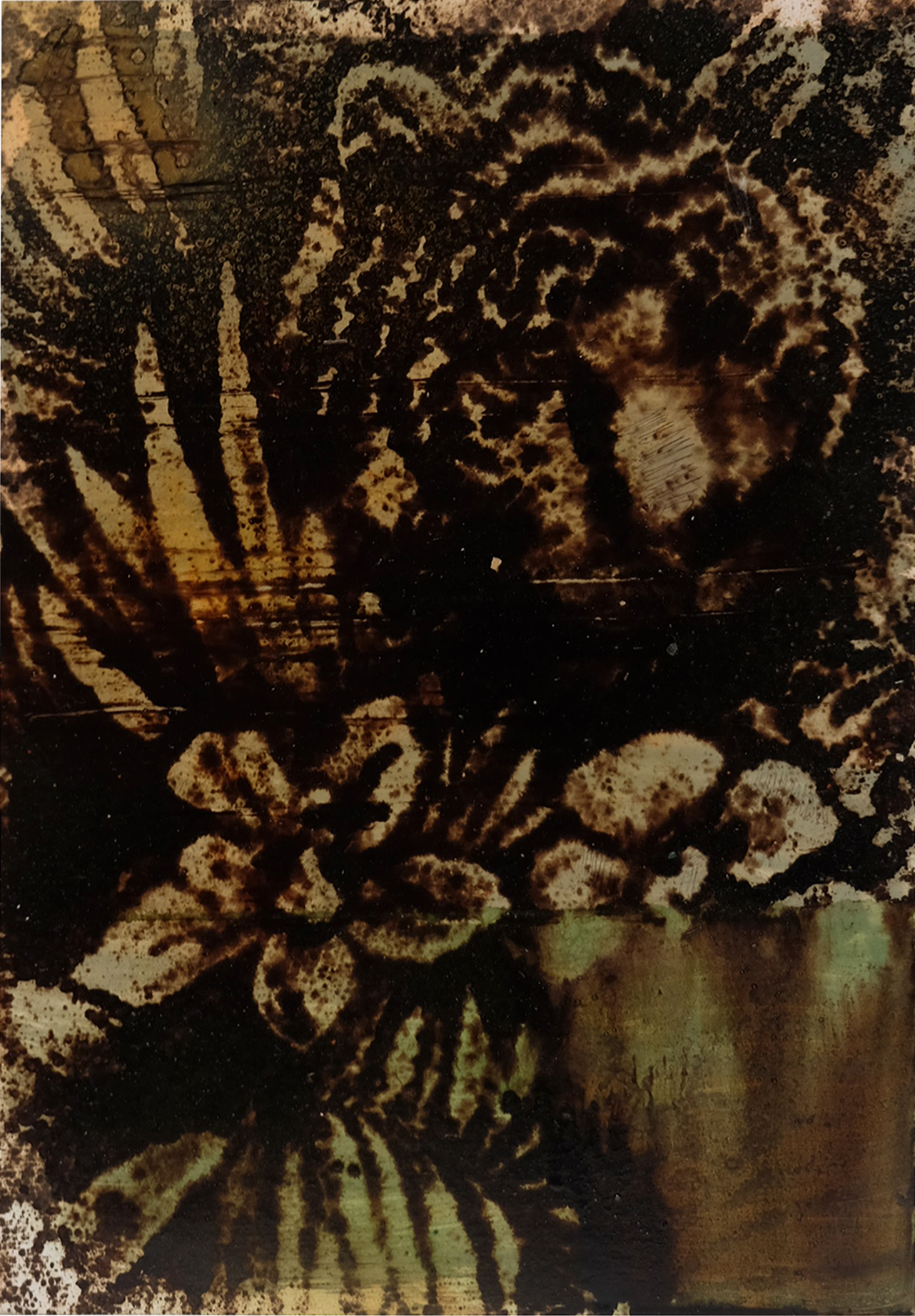 Sans titre (jungle), 2010. Bitume, glycéro et encre sur papier photo-argentique, 30 x 20 cm.